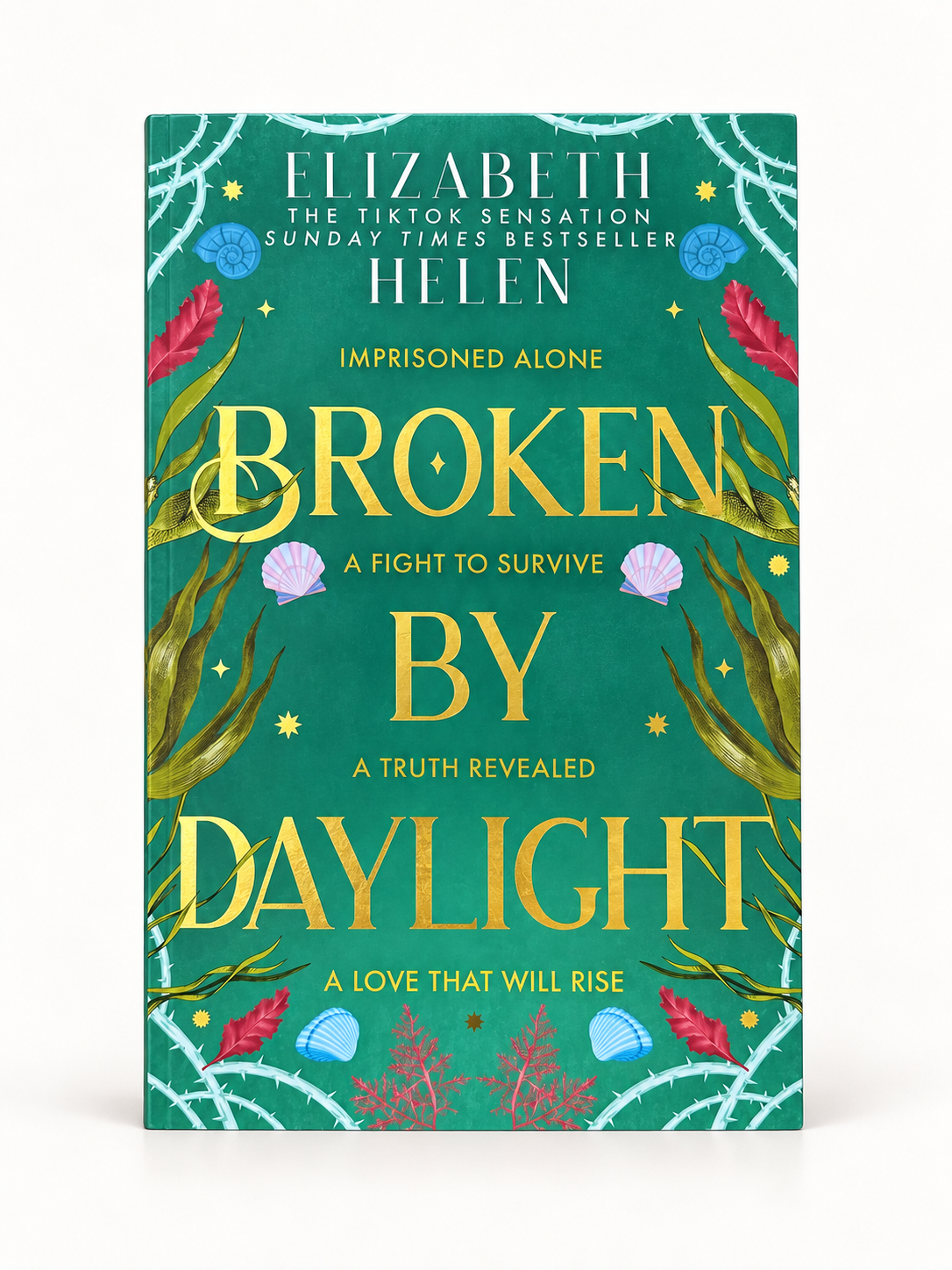 Broken by Daylight by Elizabeth Helen cover image